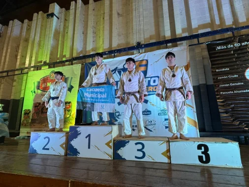 Judokas en acción